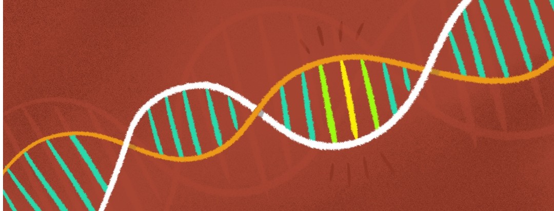 double helix with highlighted bands showing genetic mutation