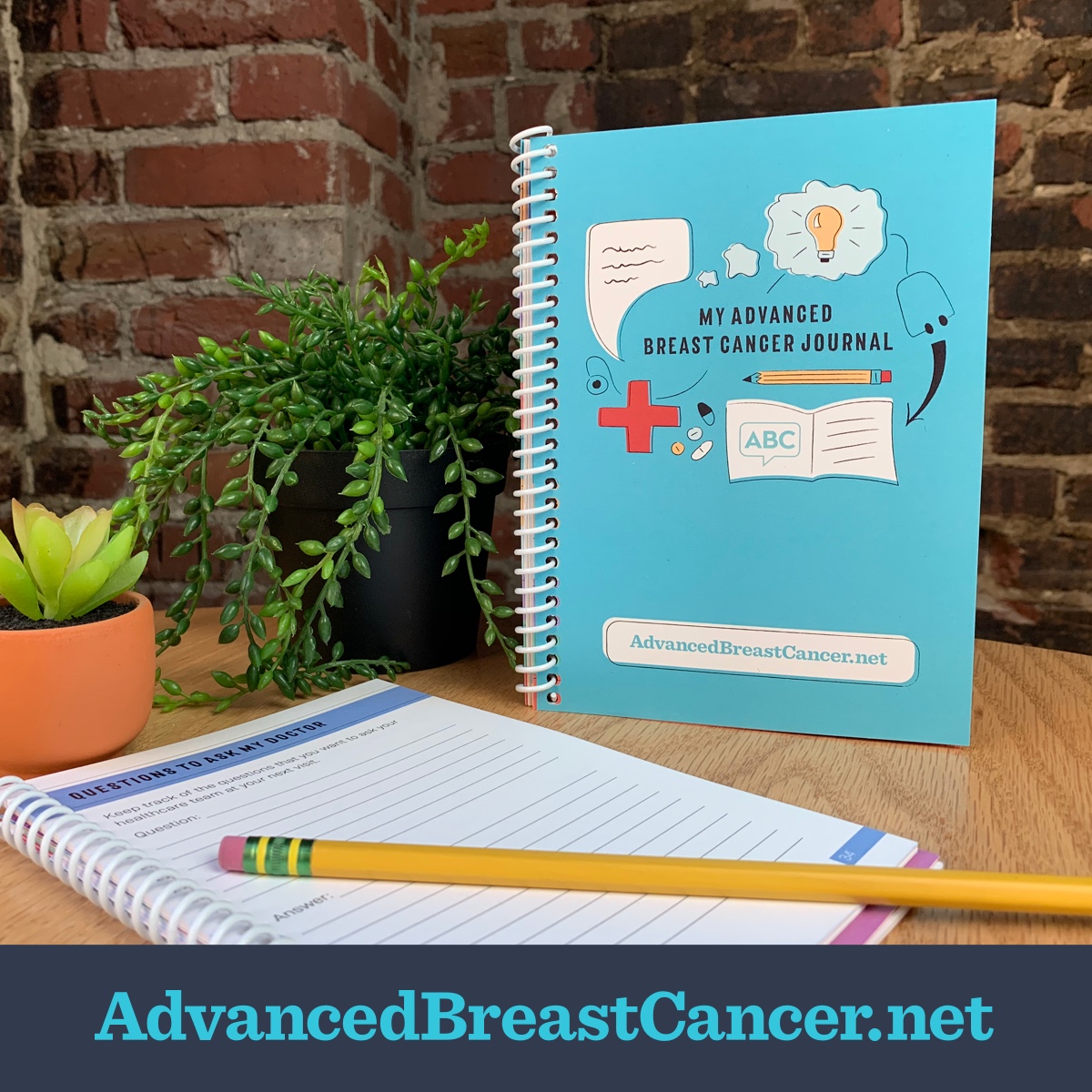 My Advanced Breast Cancer Journal