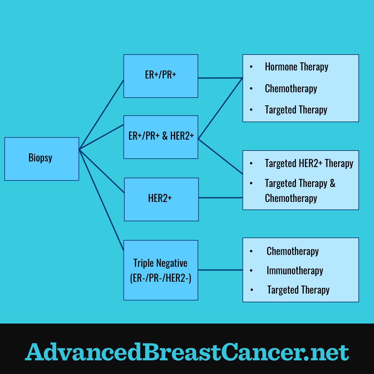 Treatment pathways for hormone, targeted therapy, and chemotherapy shown, based on the biopsy and known genetic markers.