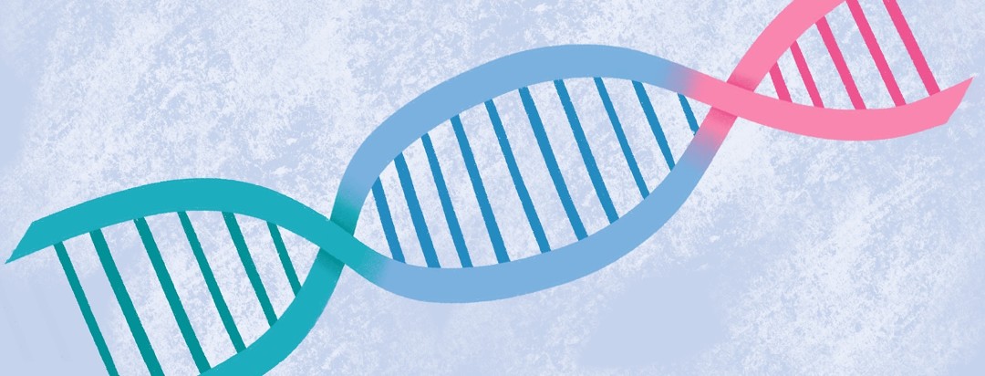 A teal, light blue, and pink ribbon overlap with each other and link together to form DNA strands
